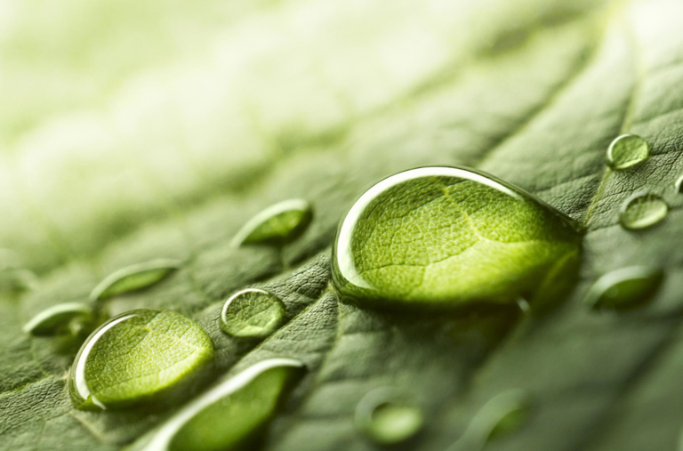 ECO Tween 28