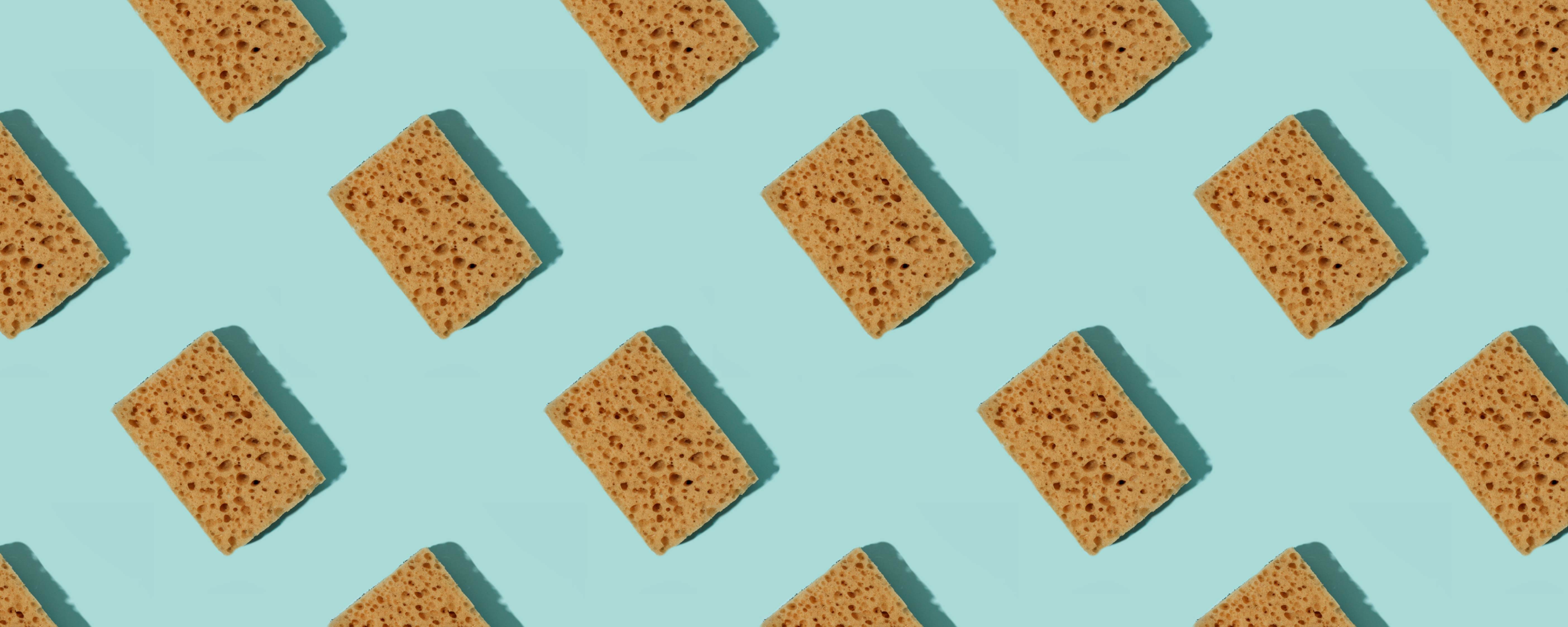 Sustainability house 