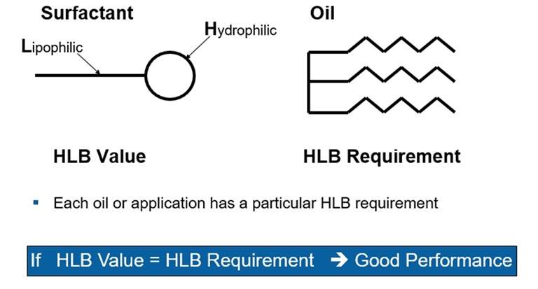 Hydrophilic heads and lipophilic tails of an oil and a surfactant