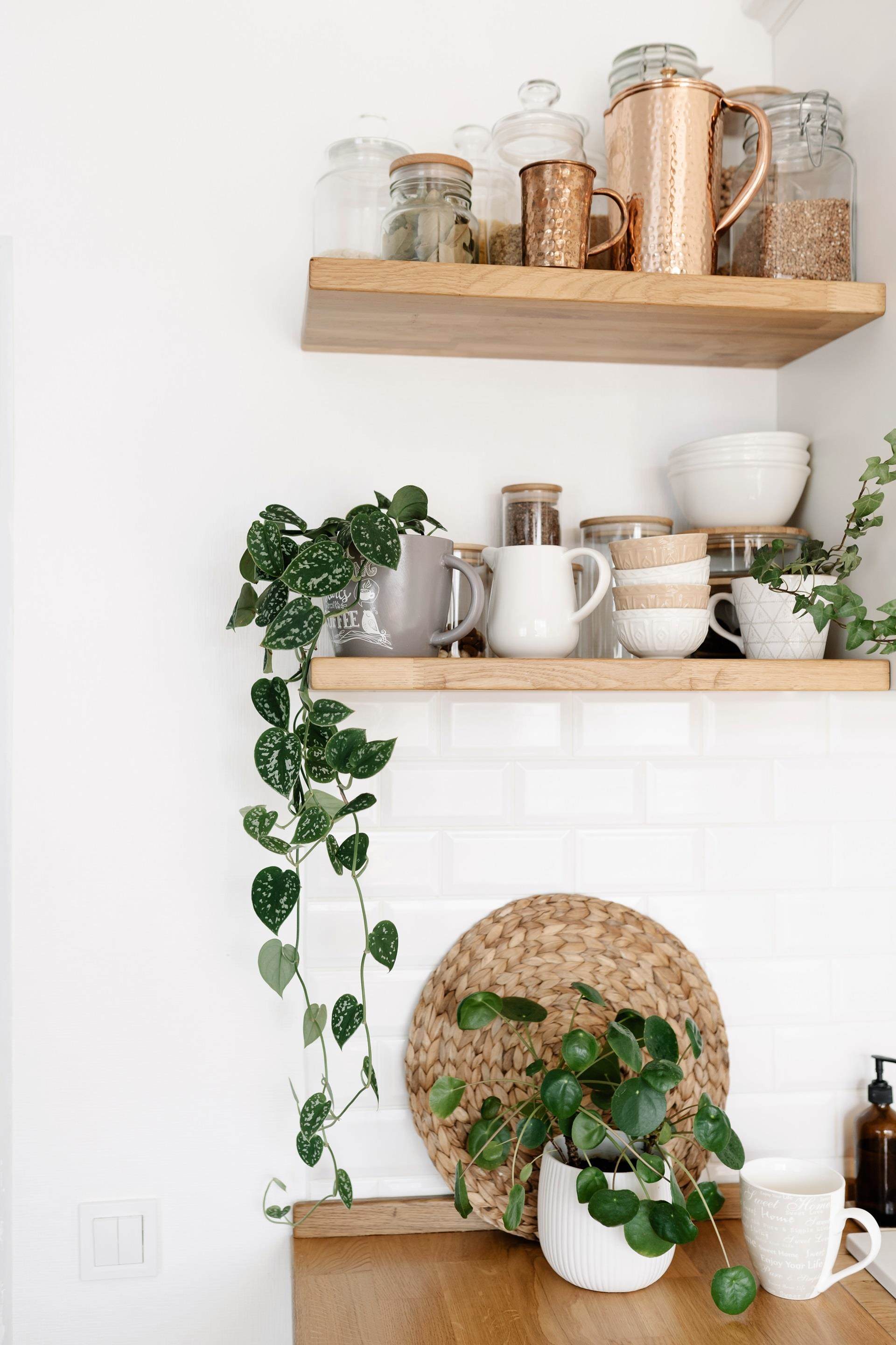 Modern kitchen with shiny surfaces