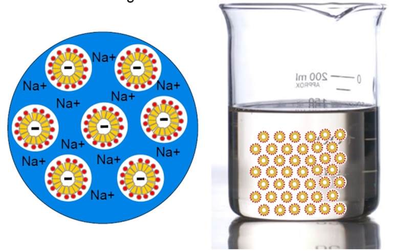 Ionic interactions between anionic surfactants and sodium cations